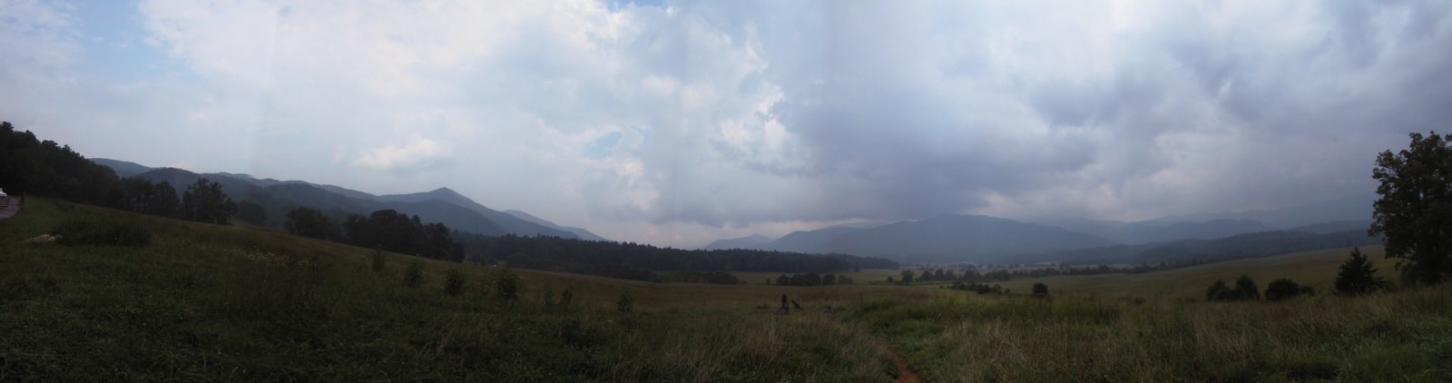 cadescove3.jpg