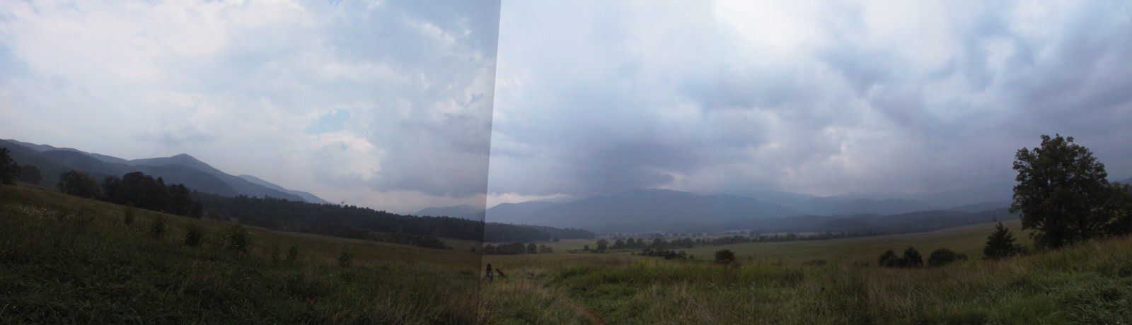 cadescove4.jpg