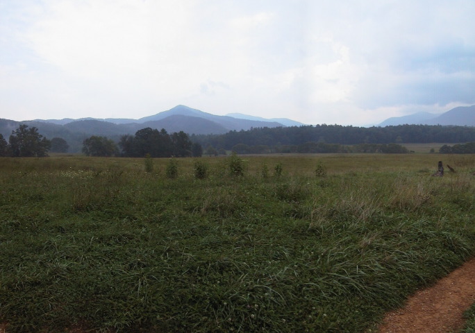 cadescove5.jpg