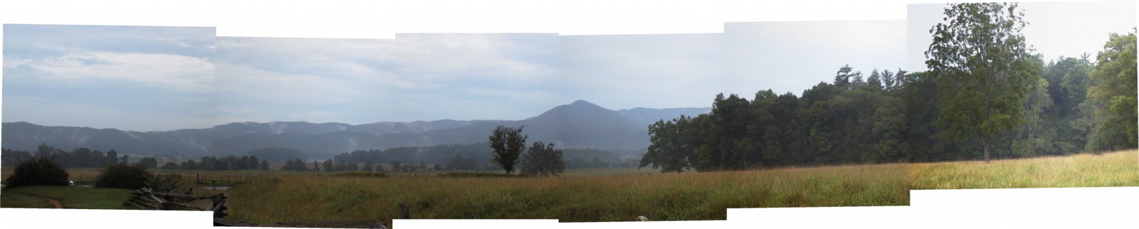 cadescove7.jpg