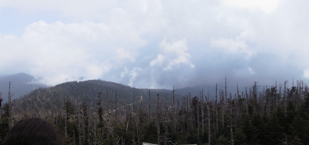 clingmansdome0.jpg