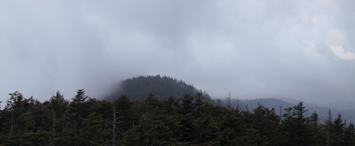 clingmansdome2.jpg