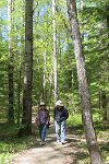 IMG_0608 Ah Ma and Ah Gong, Beaver Pond Overlook Trail, Voyaguers National Park