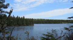 IMG_1295 Tallman Island, Tobin Harbor, Isle Royale National Park