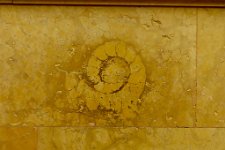 IMG_1949 Ammonoid fossil, North hearing room, Wisconsin State Capitol, Madison, WI