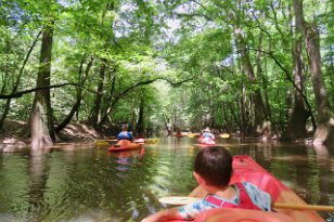 IMG_0897 Almost done with our kayak tour, Cedar Creek, Congaree National Park