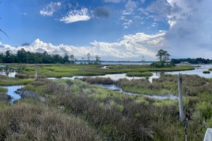 IMG_6304 Panorma of broad bay, First Landing State Park, VA