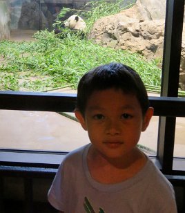 IMG_1789 Phean and Giant Panda, National Zoo, DC