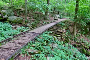 IMG_3095 Old Irish Creek Logging Railroad, Blue Ridge Parkway