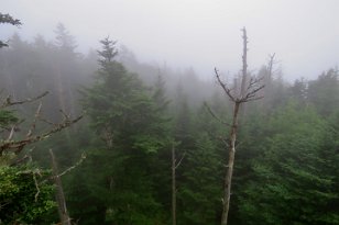 IMG_3362 Clingmans Dome, Great Smoky Mountains National Park