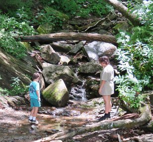 IMG_3404 Waterfall at Mile Marker 13.35 on Newfound Gap Road, Great Smoky Mountains