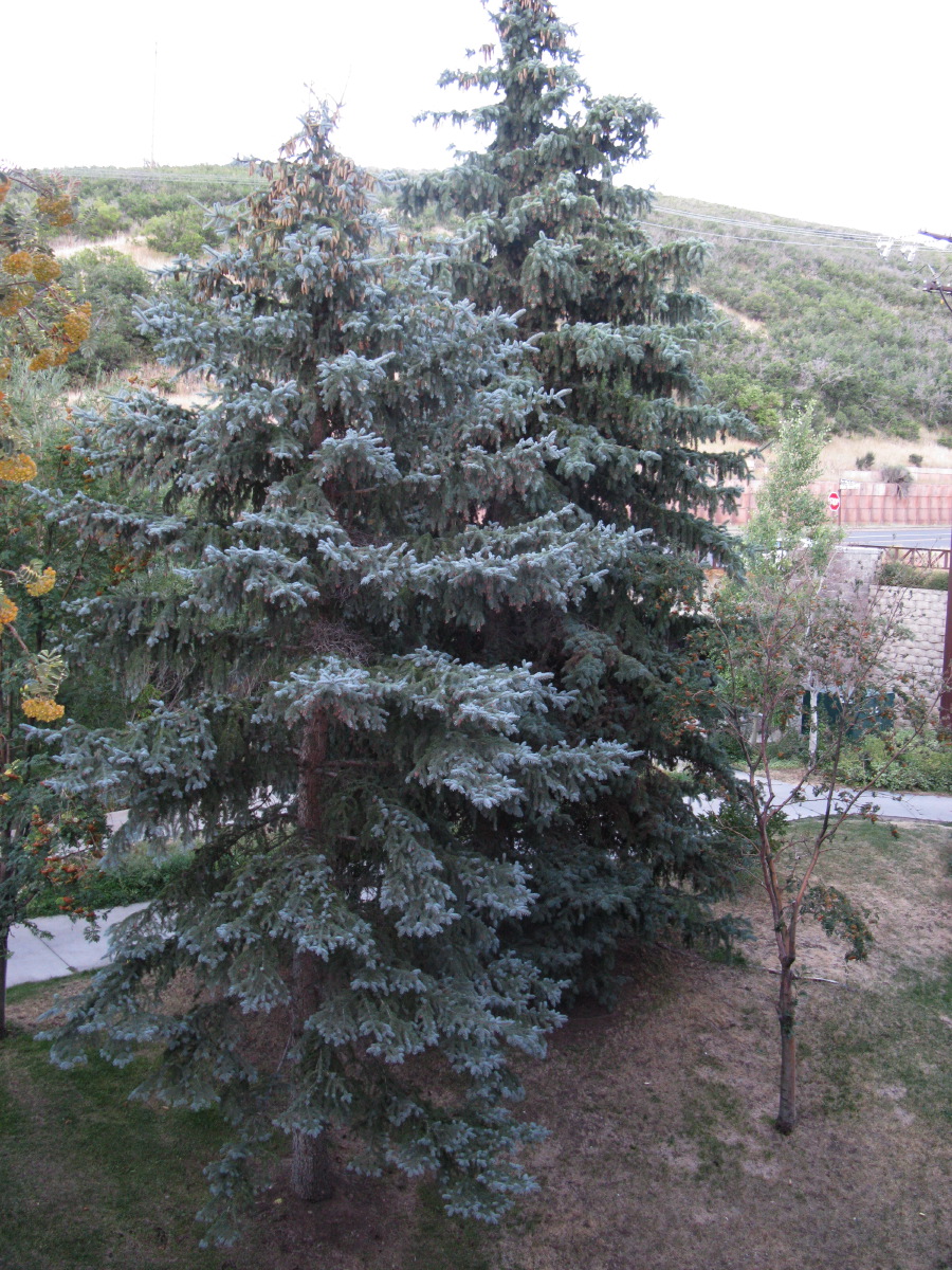IMG_7534.JPG