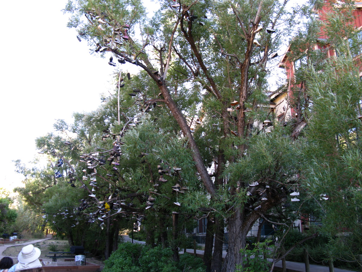 IMG_7903.JPG
