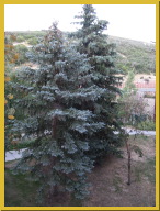 IMG_7534.JPG