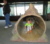 IMG 7579  Phelan in the Log, Virginia Living Museum, Newport News, VA