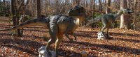 IMG 7622  Allosaurus, Virginia Living Museum, Newport News, VA