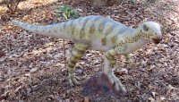 IMG 7633  Hypsilophodon, Virginia Living Museum, Newport News, VA