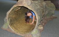 IMG 7704  Megan in the Log, Virginia Living Museum, Newport News, VA