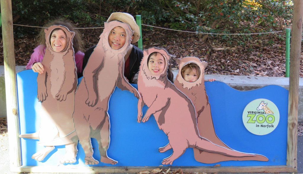 NorfolkZooOtters