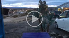 2019-12-28 03.17.54.6960 daybreak over Twentynine Palms, CA