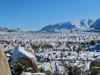 IMG_5276 Overlook of the Hidden Valley Trailhead and the forest of Joshua Trees in the snow, Hidden Valley Trail, Joshua Tree National Park