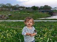 IMG 5460  Phelan among the wild flowers at the "Phone Eating Park"