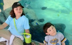 IMG_9273 Megan and Phelan with a sea turtle (the dark grey rock like lump between them), Turtle Reef Exhibit, SeaWorld, San Antonio, TX